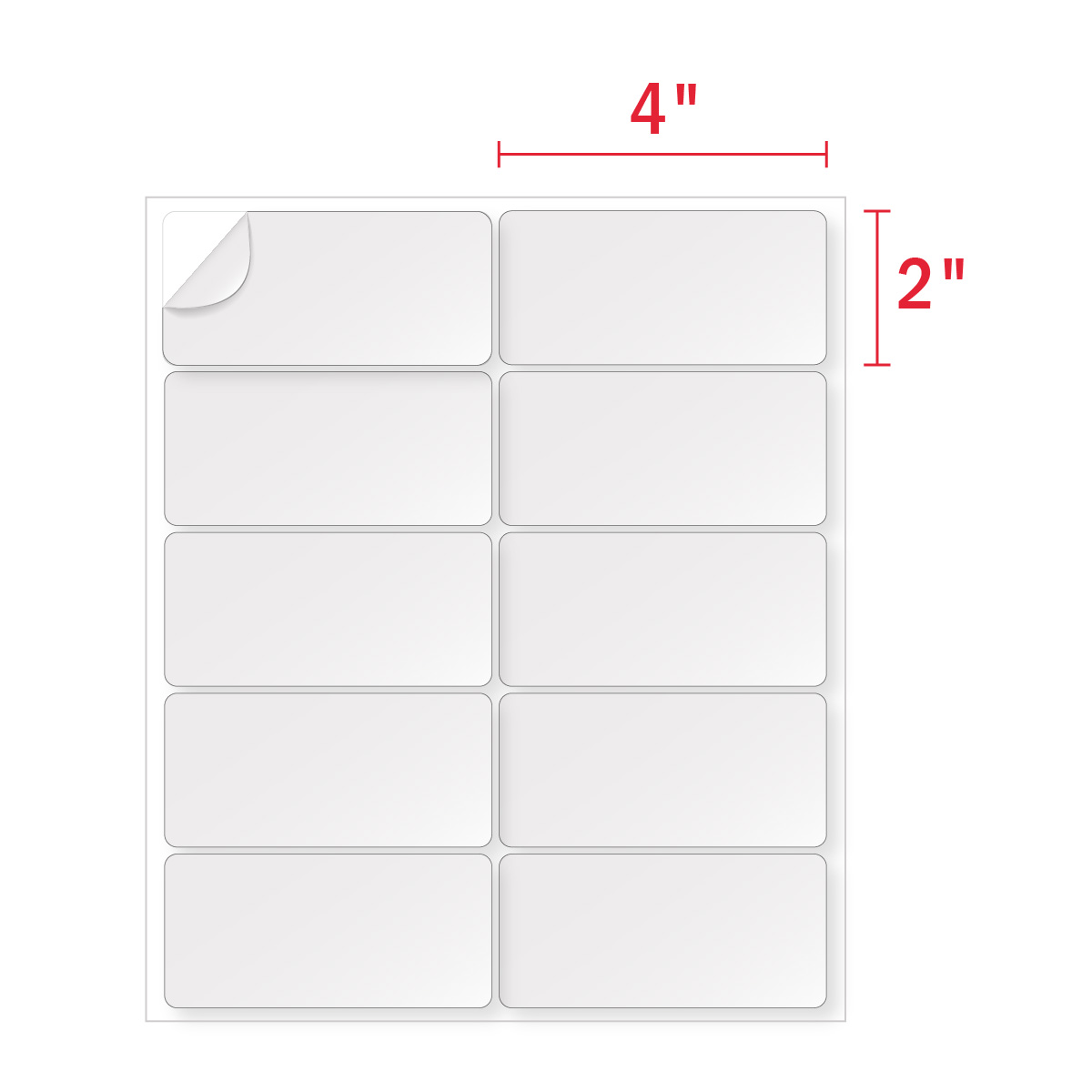 20x20 Labels - 20 Labels Per Sheet - Avery ® 20 Compatible Throughout 2X4 Label Template