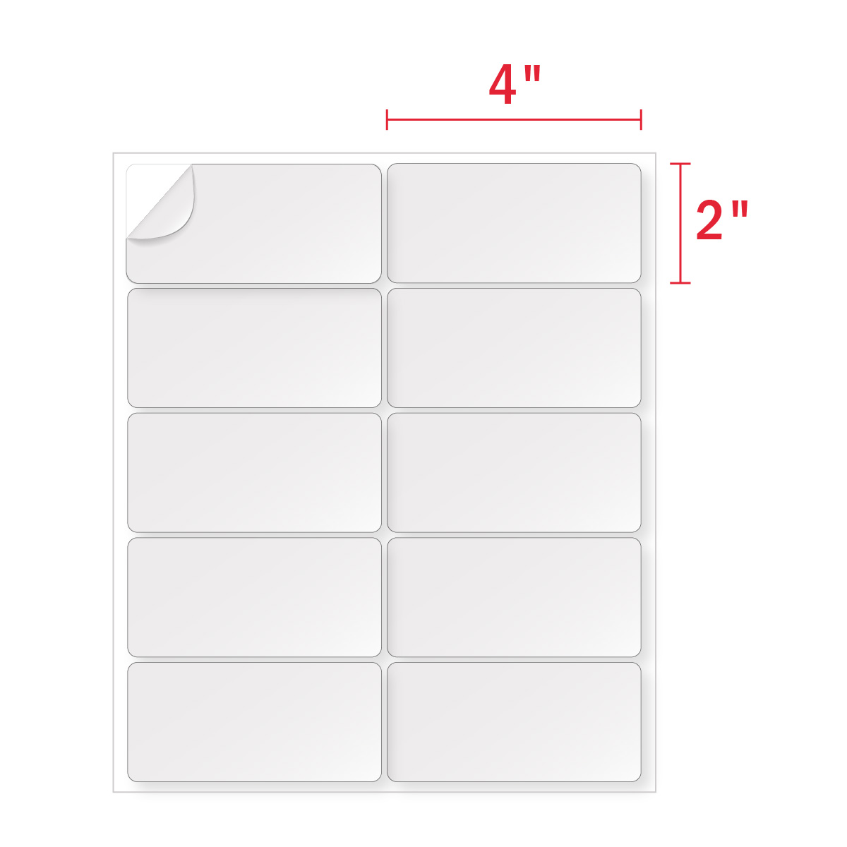 2x4 Labels Blank Rectangle 9 00 Pack 10 Labels Per Sheet