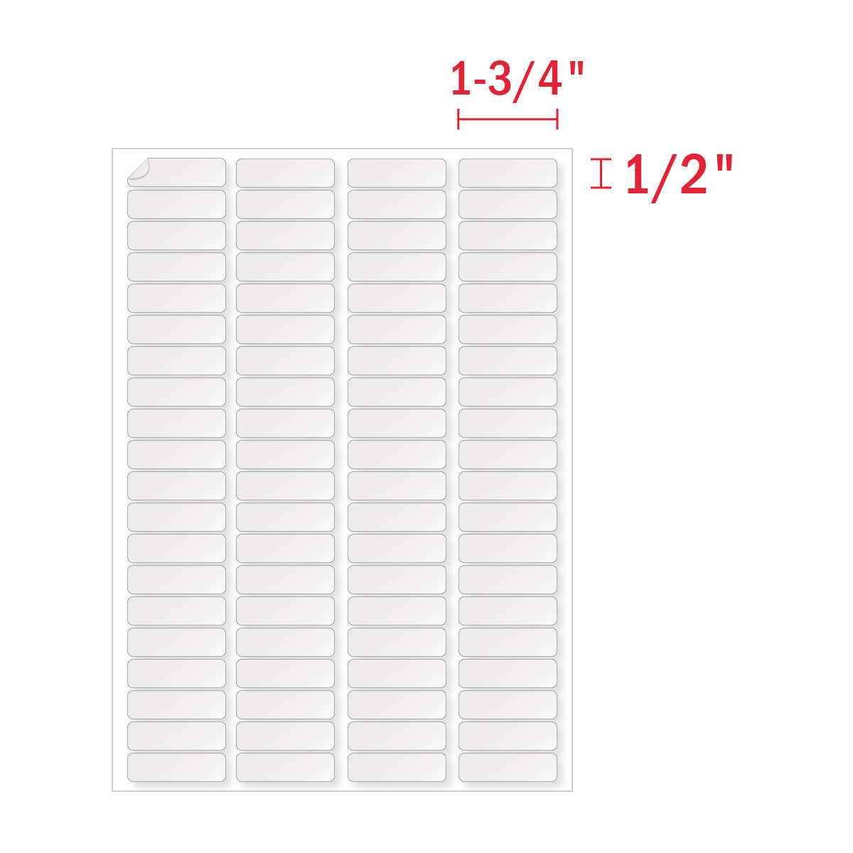 Template for 2 x 4 labels 10 per sheet