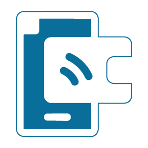 online payment
