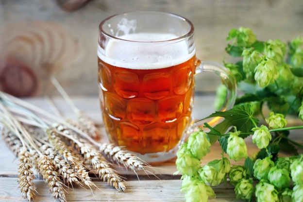 Barley and hops are beer's main ingredients